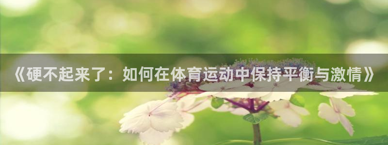 谈球吧体育：《硬不起来了：如何在体育运动中保持平衡与激情》