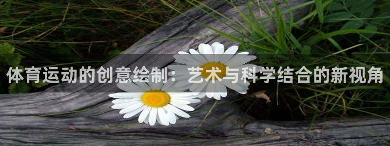谈球吧：体育运动的创意绘制：艺术与科学结合的新视角