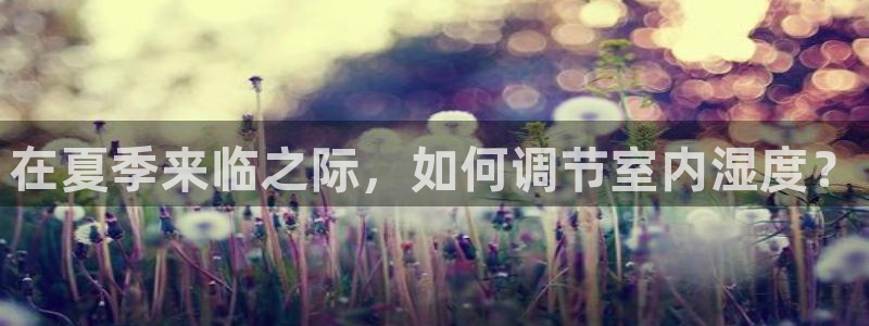 谈球吧：在夏季来临之际，如何调节室内湿度？