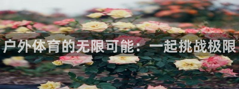 谈球吧体育：户外体育的无限可能：一起挑战极限