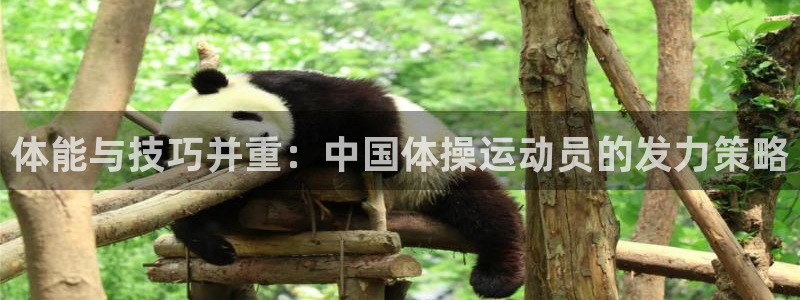 谈球吧体育官网：体能与技巧并重：中国体操运动员的发力策略