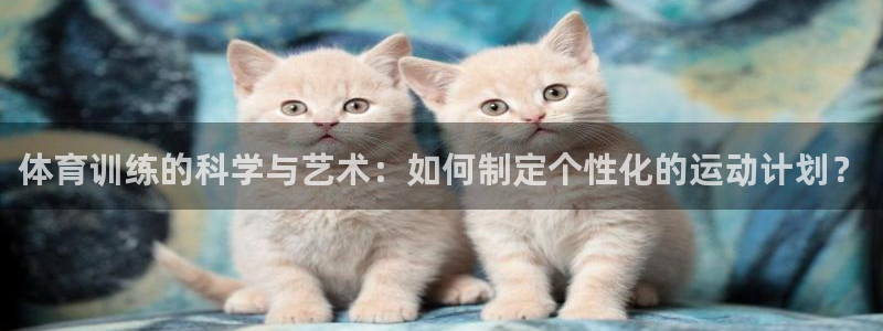 谈球吧：体育训练的科学与艺术：如何制定个性化的运动计划？