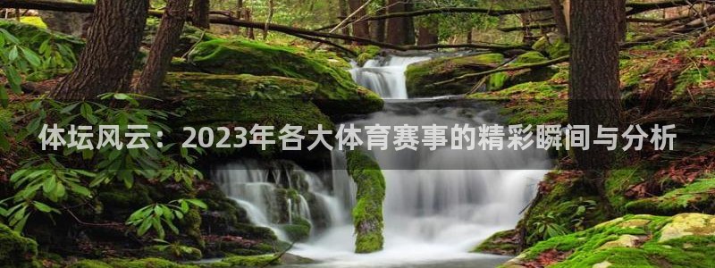 谈球吧体育官网：体坛风云：2023年各大体育赛事的精彩瞬间与分析