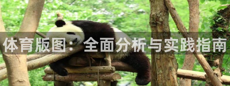 谈球吧体育官网：体育版图：全面分析与实践指南