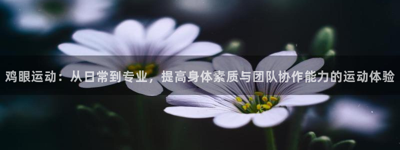 谈球吧：鸡眼运动：从日常到专业，提高身体素质与团队协作能力的运动体验