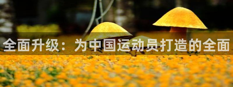 谈球吧体育：全面升级：为中国运动员打造的全面