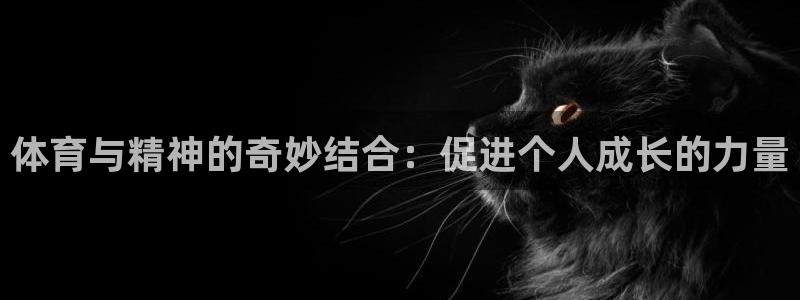 谈球吧：体育与精神的奇妙结合：促进个人成长的力量
