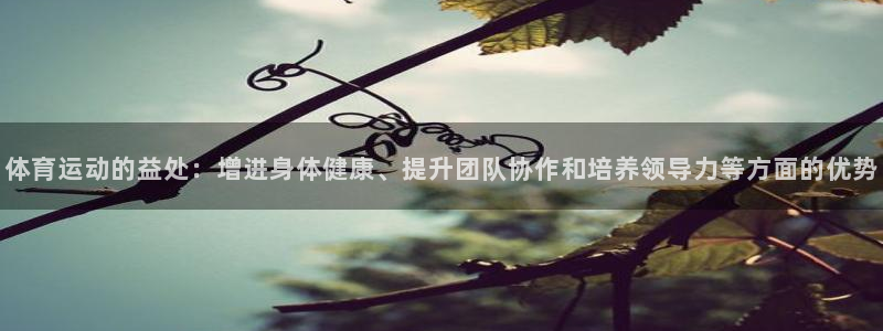 谈球吧体育：体育运动的益处：增进身体健康、提升团队协作和培养领导力等方面的优势